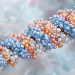 적절한 성분 조합